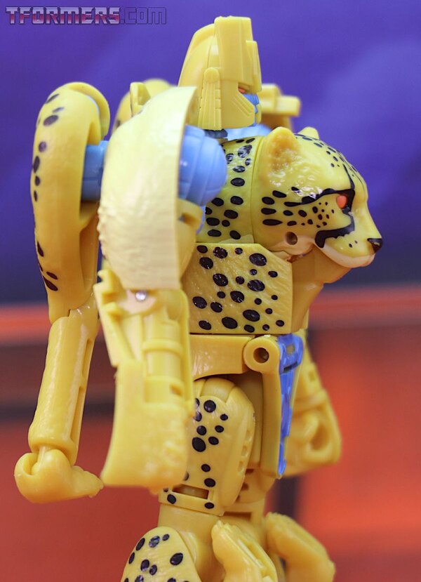 Transformers Kingdom Cheetor Wave 1 Deluxe Class  (4 of 34)